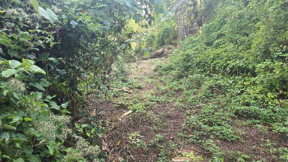 Продава се Парцел в с. Брусен, Област София-област - 2444 кв.м за 6 €/кв.м - Снимка #1