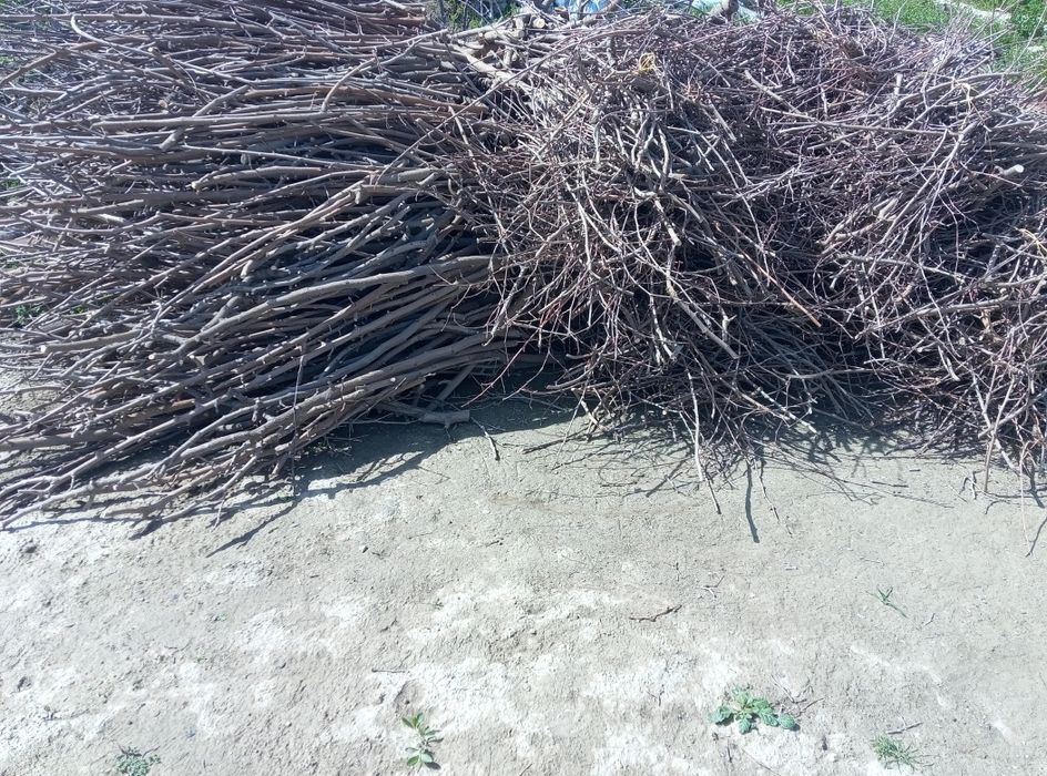 O'tin sotiladi Samarqand shahrida