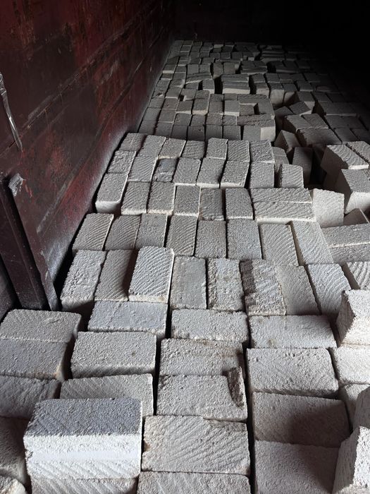 Ракушка 230тг высший сорт