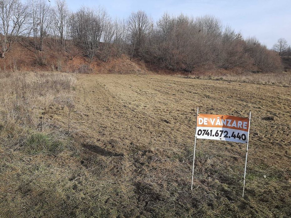 Teren 5000 mp extravilan, langa Pastravaria Cracaoani, 4 euro neg