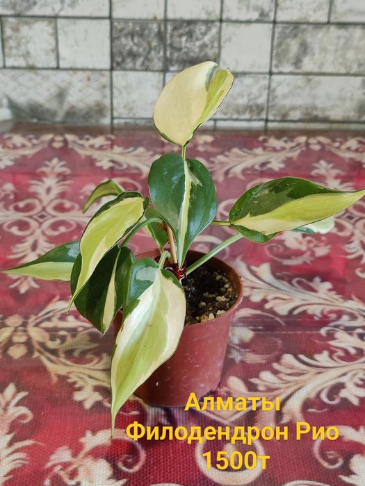 Продам Хобби для души