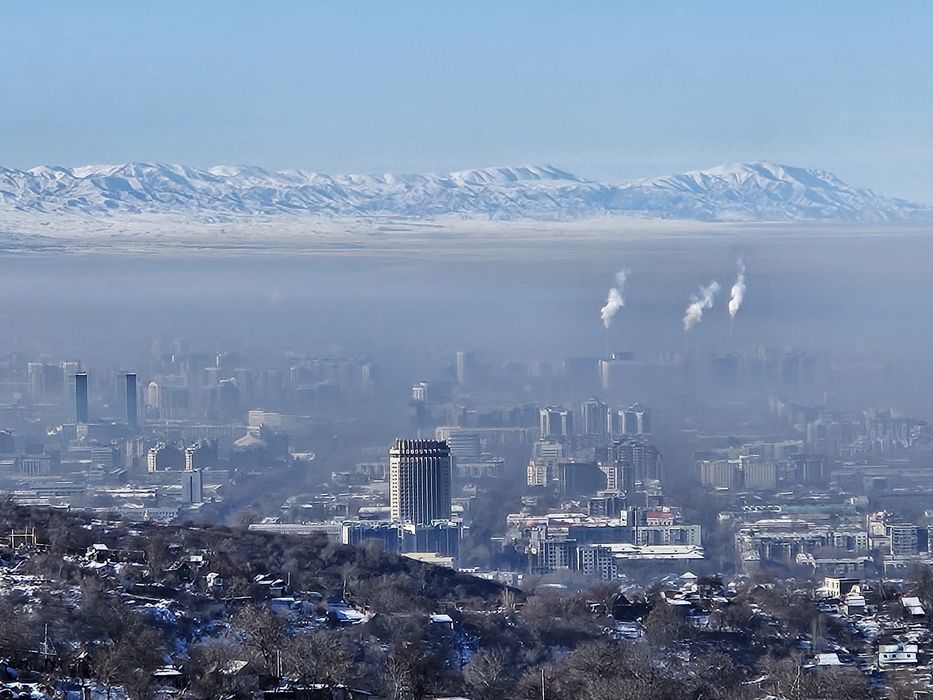 Земельный участок