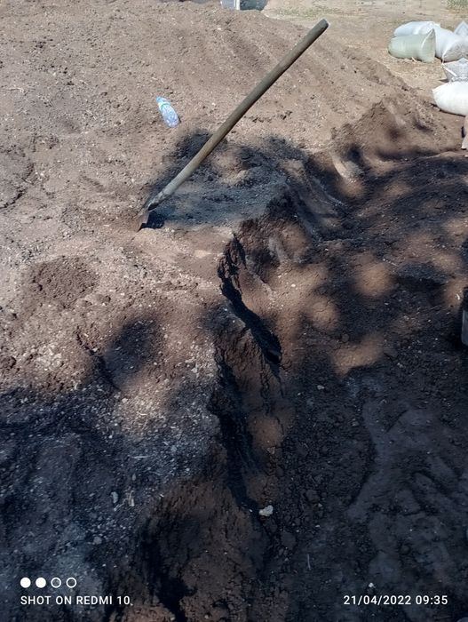 Biogumus sotiladi optim narxda