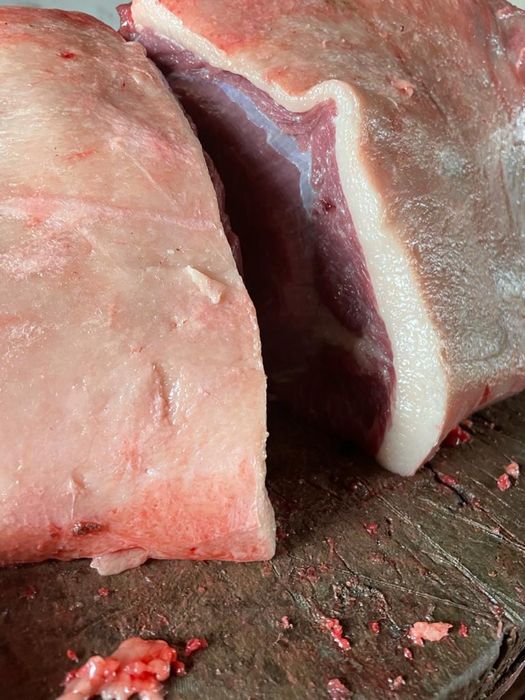 Тай жылқы семиз жықы соғымға