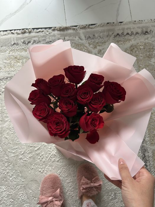 Алая роза ,пришел ночью,свежый