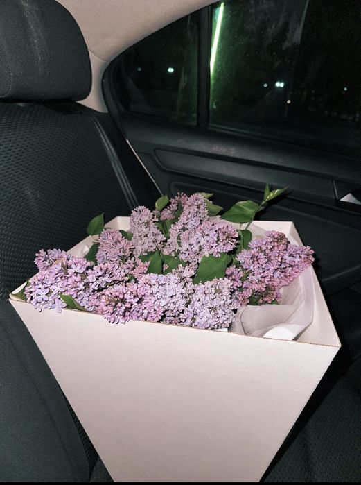 Продам цветы сирень