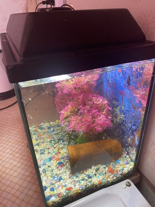 Аквариум 25 литров