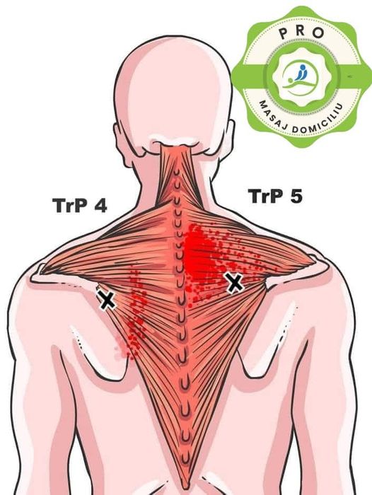 Pro Masaj Domiciliu - Iași