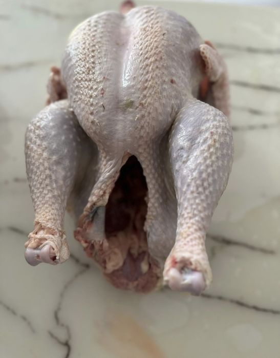 Продам мясо индейки индюка