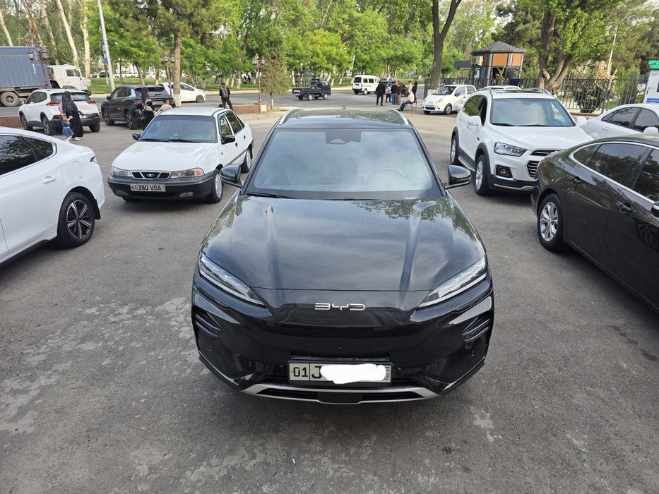 Other Song Plus DM-i Champion 2023