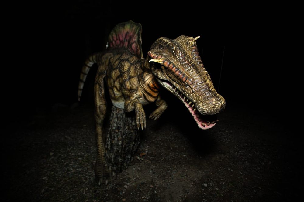 Аниматоры города Алматы и города Каскелен