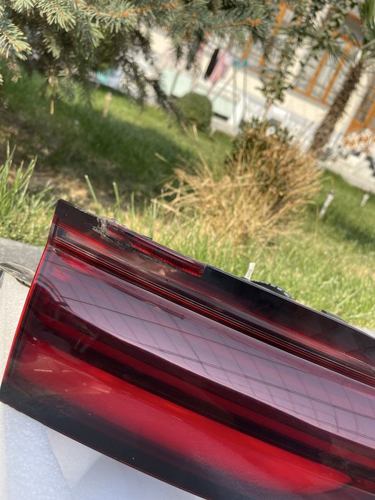 Byd champion 2025 orqa stop fara