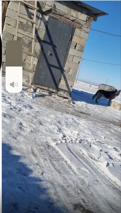 продам каттедж черновой