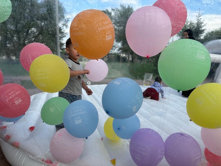 Батуд бабл хаус или bubble house