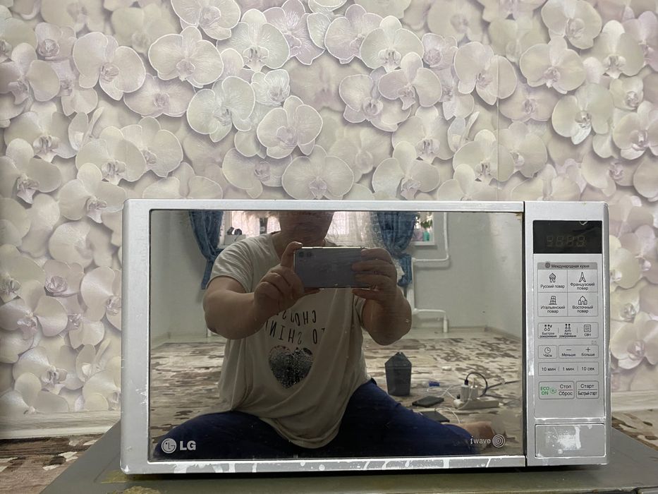 Микроволновка и духовка рабочие