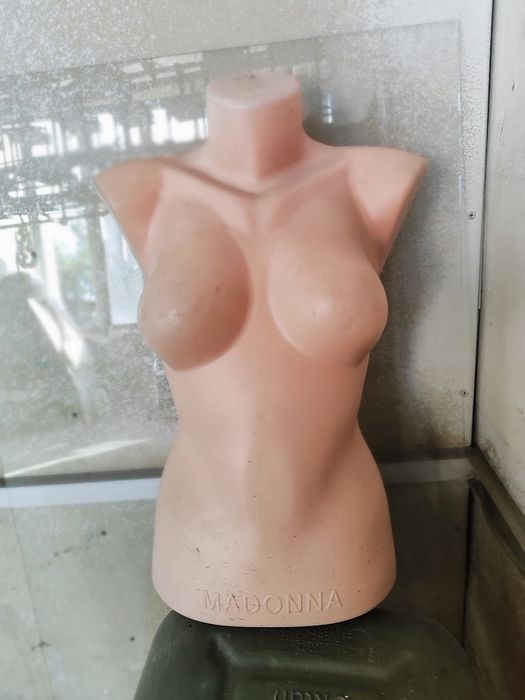 Maniken sotiladi 5 ming soʻmdan donasi