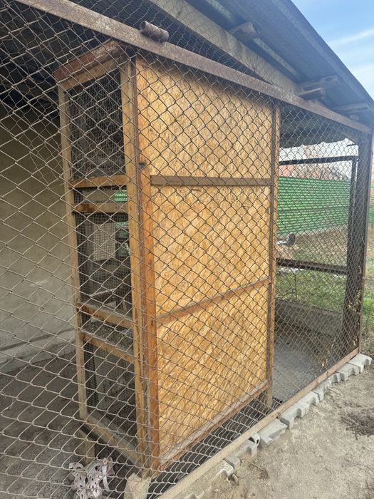 Брудер для цыплят