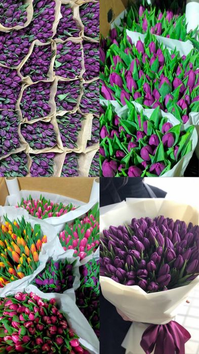 клубника в шоколаде