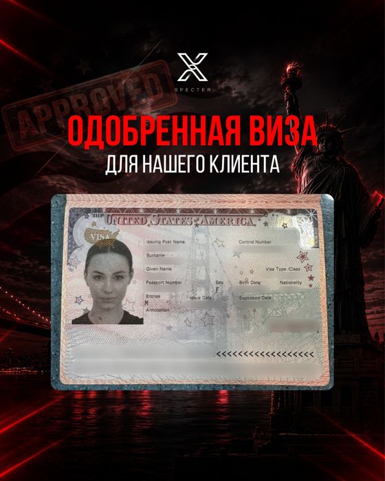 Виза в США B1 B2 F1