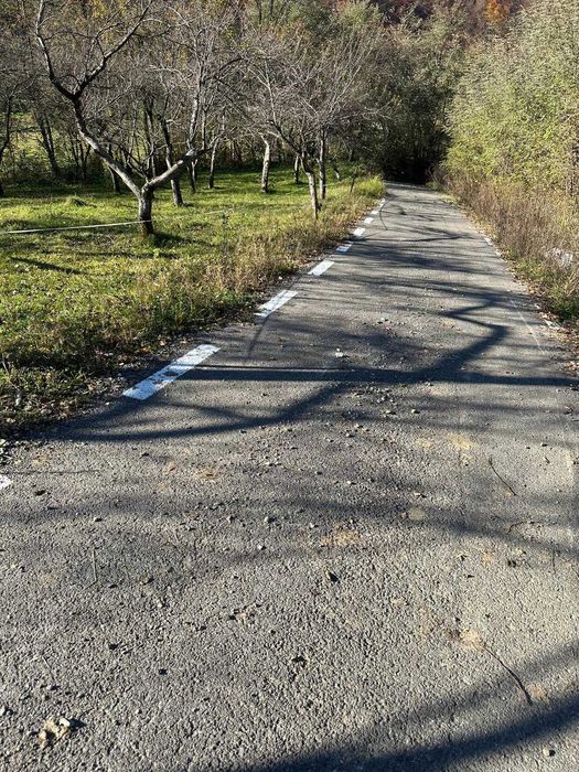 Vand teren extravilan in comuna cosbuc