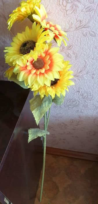 Подсолнухи декоративные