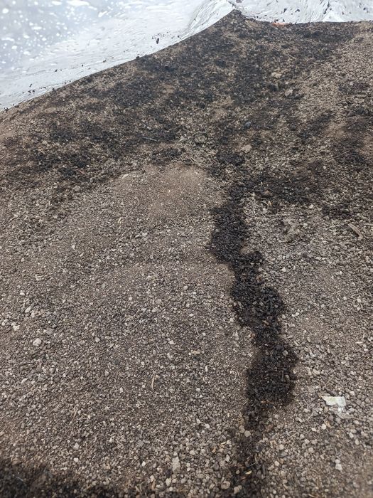 Биогомус сифатли