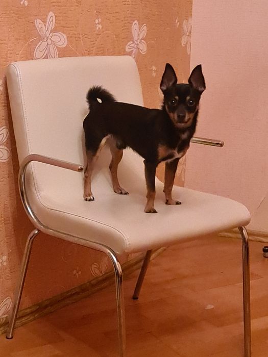 Предлагаю для вязки