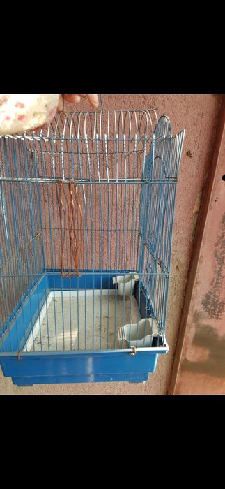 Продам клетку для попугаев дешево