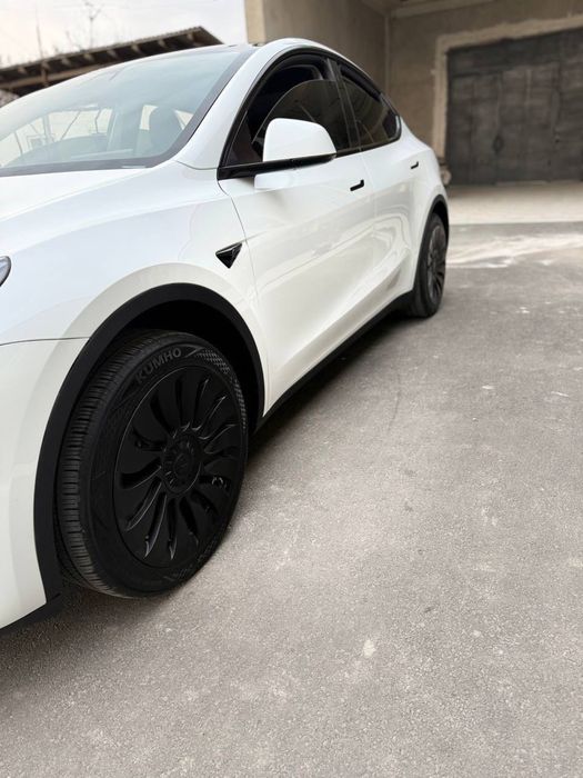 Telsa modul Y standart 400 km yuradi