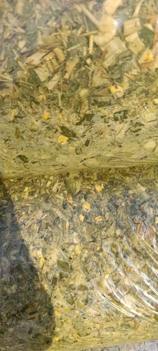 Silos donli va donsiz