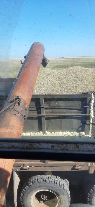 Продам комбайн нива ск- 5