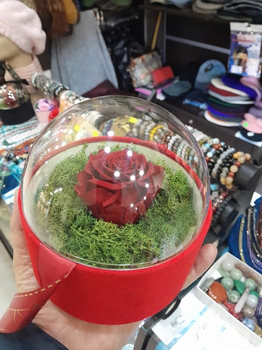 Жива роза от Еквадор