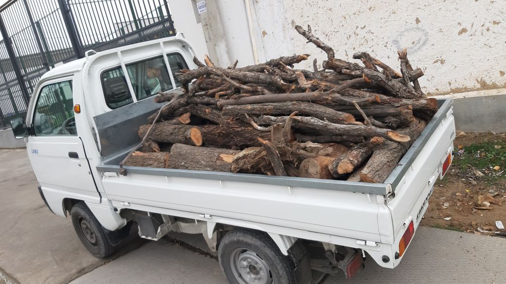 O'rik o'tinlar quruq 30,35 sm yorilgan dastafka bor labo