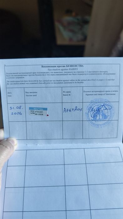 Отдам  в хорошие добрые руки!