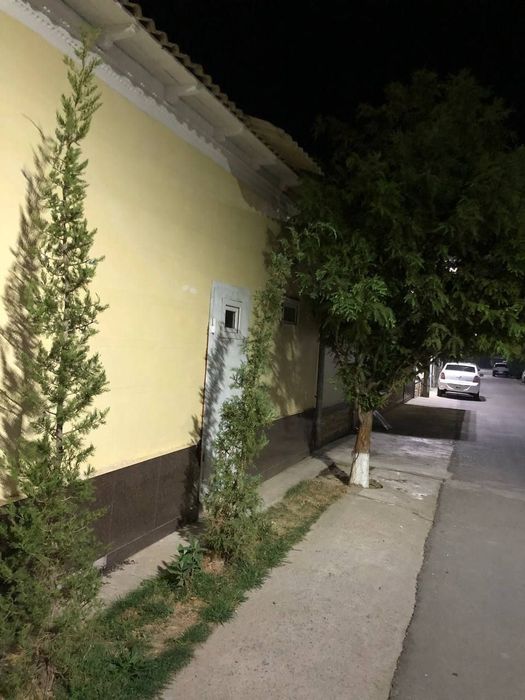 Arenda 230 kamunal icida ttz