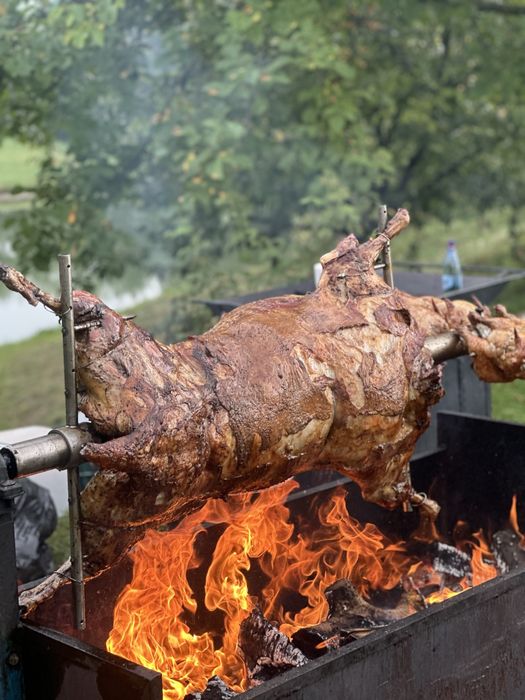 Porc, berbecut , vitel, pui, curcani toate pregatite la PROTAP!