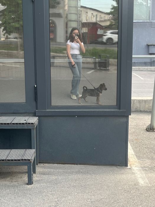 Продам Щенка в хорошие руки