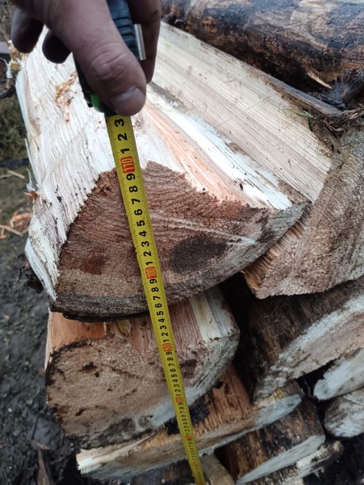 Brad si fag uscat!!! Transport inclus!