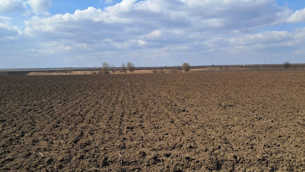 Vand loturi pentru gradina aproape de Vânători