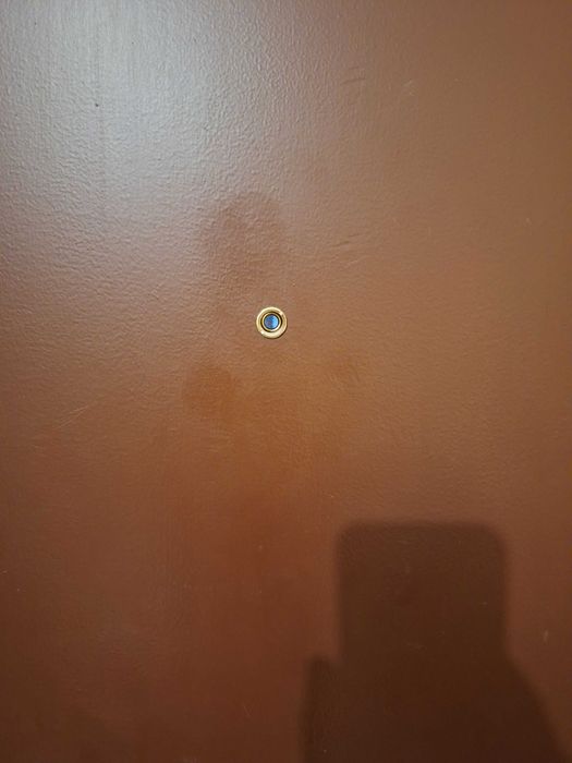 Входна метална врата