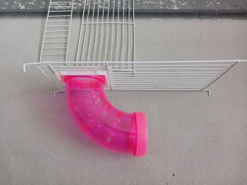 Предметы для грызунов