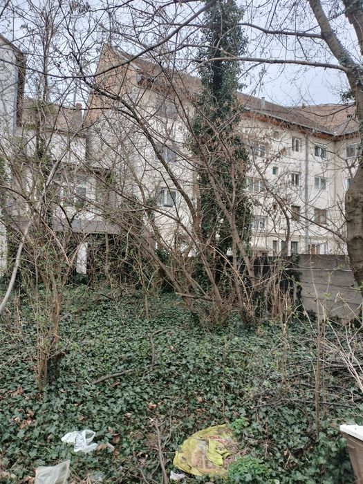 Servicii de defrișare, tualetare și doborâre arbori, cosit iarbă