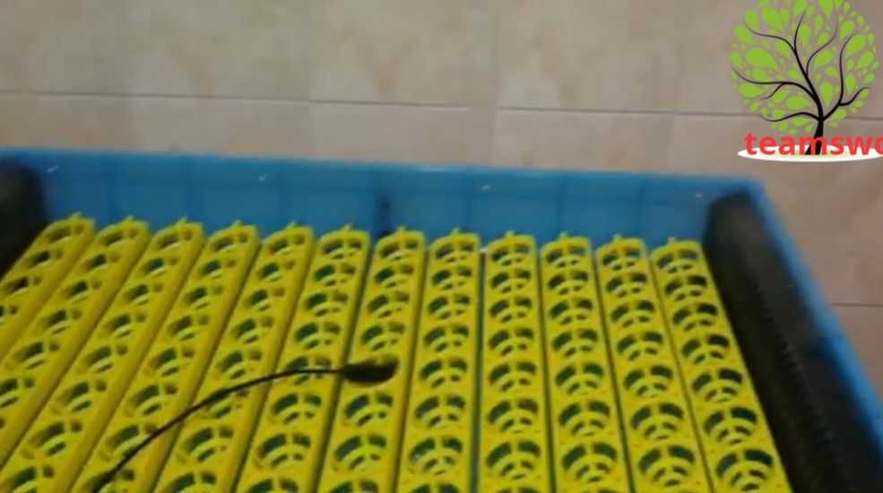 Инкубатор за 120 яйца с микрокомпютър и автоматичен контролер