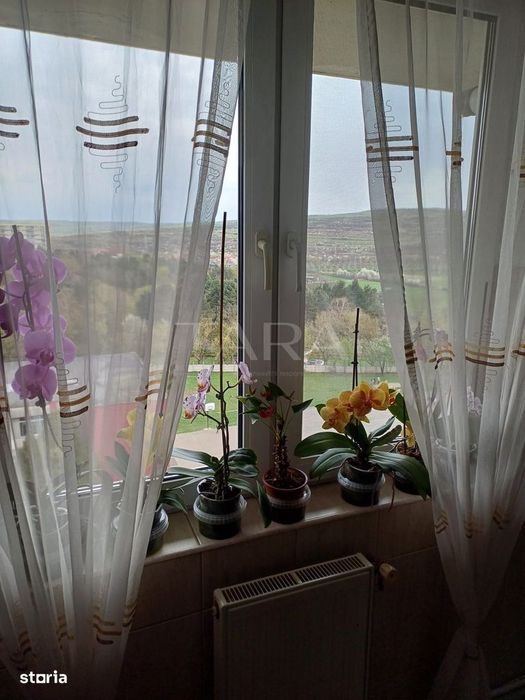 EXCLUSIVITATE. Zona Transylvania College, Iulius Mall — fotografia 3