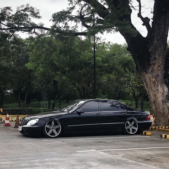 R19 Wald Mahora M11C