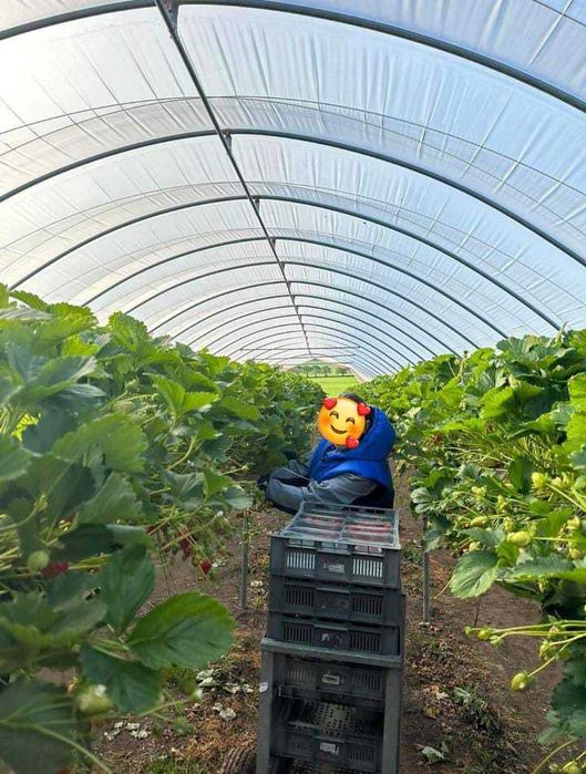 Англияға неге барғын келмейді ?