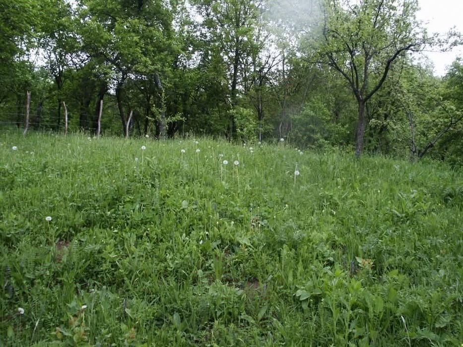 Teren intravilan Runcu