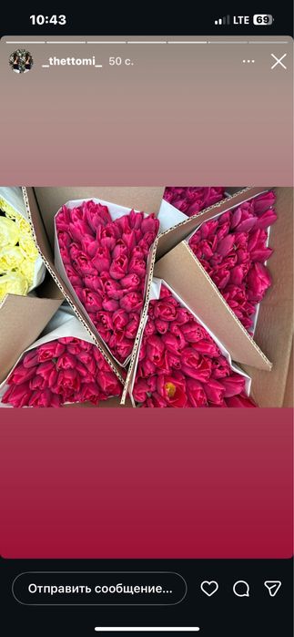 Тюльпаны к 8 марта