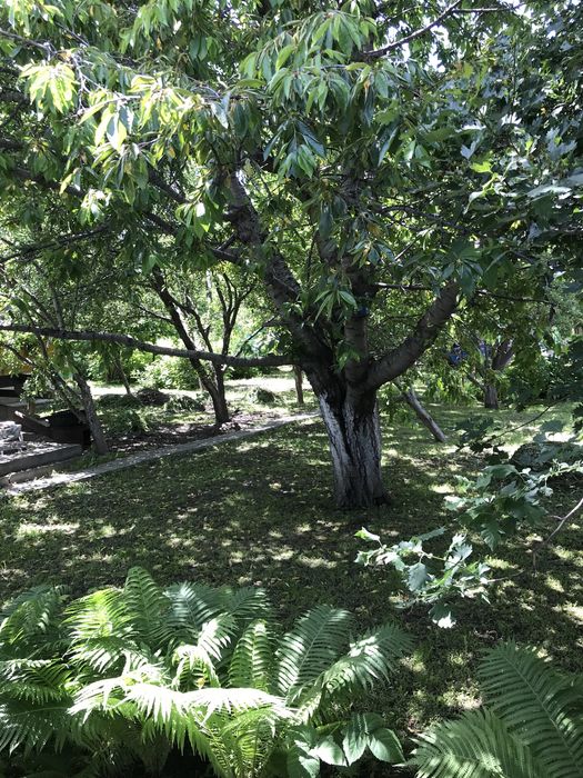 Дом в посёлке Абай