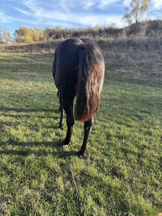 Iapa de vanzare. !!!